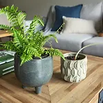 Free Time Apartments